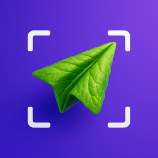 FlyEat AI: Photo Calorie Counter and Food Diary in Telegram