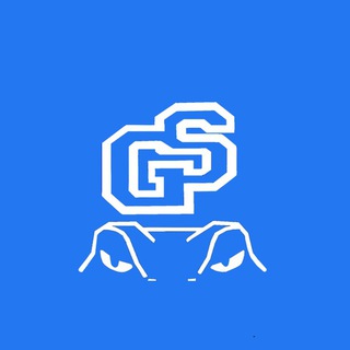 GeckoSell VPN - Fast Secure Access via Telegram Mini App