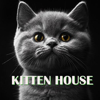 @kittenhousecryptobot