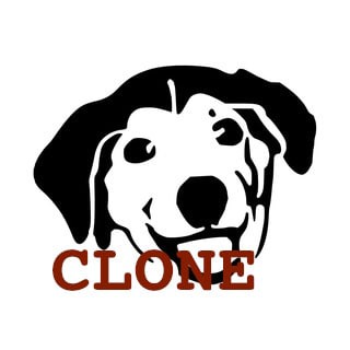 @watchdog_clone_robot